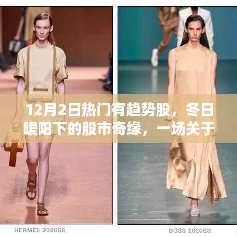 冬日暖阳下的股市奇缘，揭秘12月2日热门趋势股故事