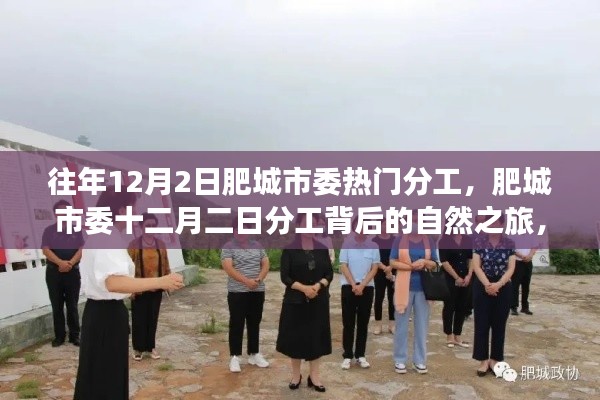 肥城市委十二月二日分工背后的自然之旅,心灵宁静港湾探寻记