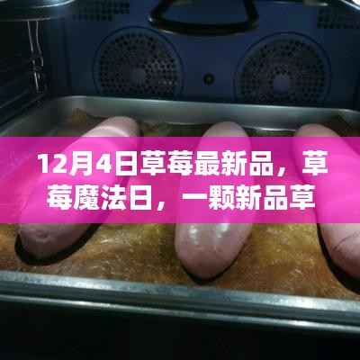食淡衣粗 第2页