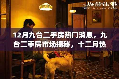 揭秘九台二手房市场，十二月热门消息与趋势洞察