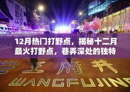 揭秘十二月最火打野点，巷弄深处独特风味小店的秘密探访