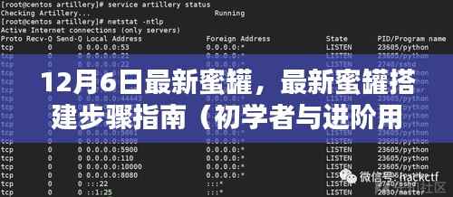 12月6日最新蜜罐搭建指南,适合初学者与进阶用户的步骤教程