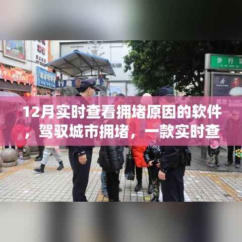 司空见惯 第2页