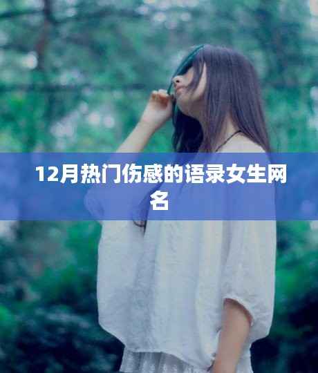伤感女生网名语录,十二月的心灵触动