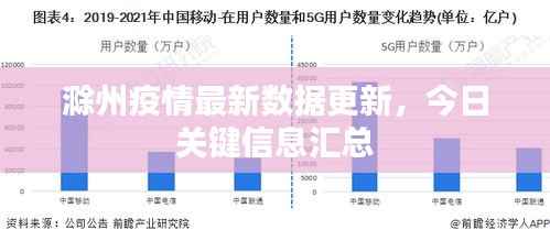 滁州疫情最新数据更新,今日关键信息汇总