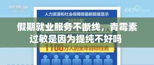 假期就业服务不断线，青霉素过敏是因为提纯不好吗 